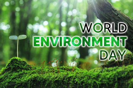 روز جهانی محیط زیست و معرفی منابع مرتبط