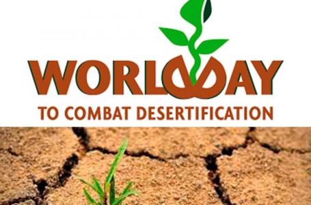 به مناسبت روز جهانی مبارزه با بیابان زایی و خشکسالی؛  مروری بر منابع اطلاعاتی کمیسیون ملی یونسکو با موضوع بیابان زدایی