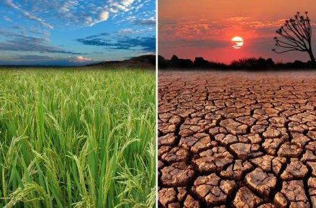 COP17 در راه است؛ تمرکز جهانی بر احیای زمین، آب و تاب‌آوری اقلیمی با مشارکت یونسکو